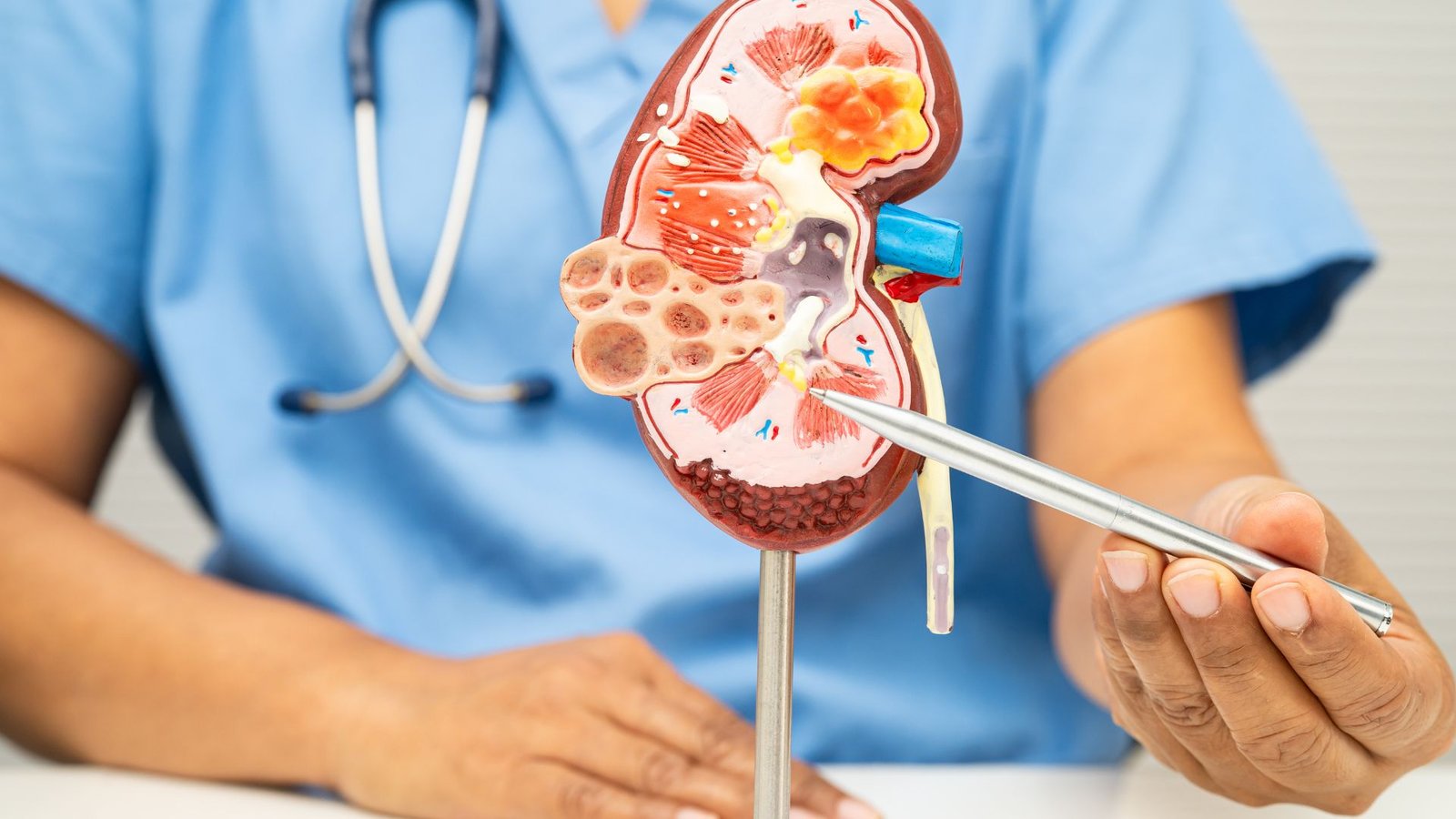 Breathing Room for Growth: Global COPD Market to Reach USD 16.61 Billion by 2033